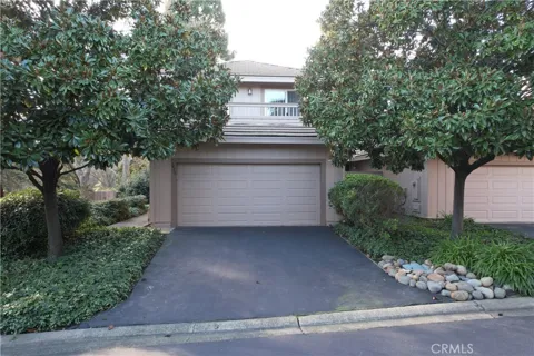 7423 Silver Birch