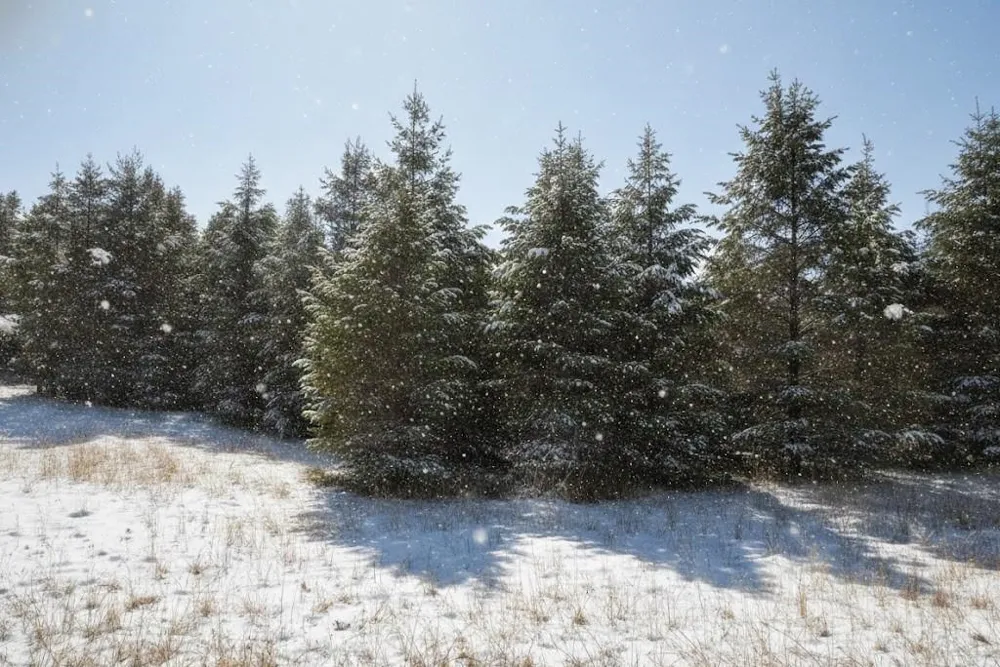 Spruce Hollow Trace Fife Lake Township, MI 49633
