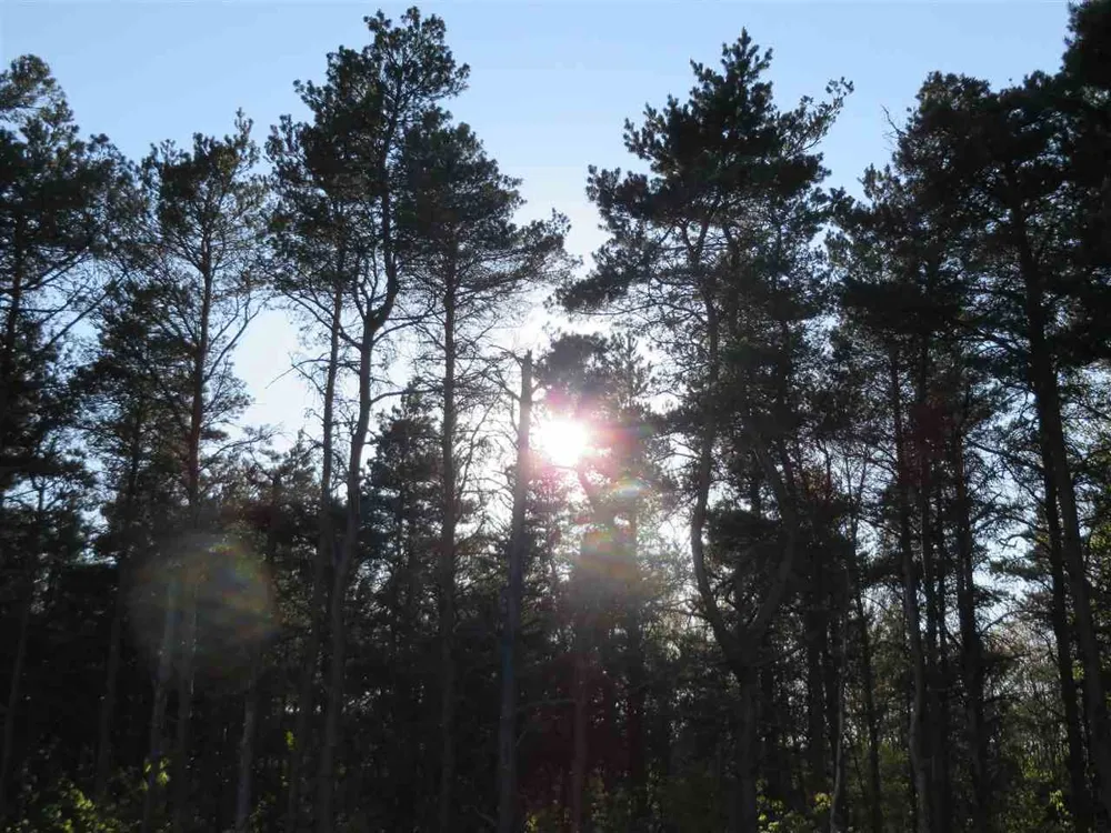 Spruce Hollow Trace Fife Lake Township, MI 49633