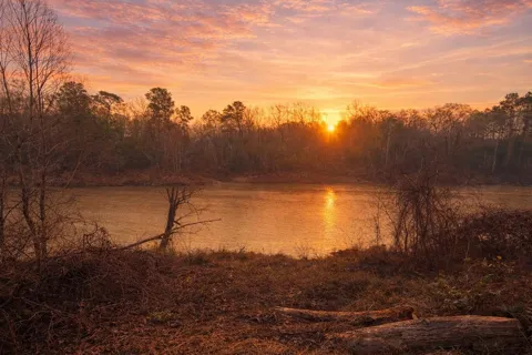 274 County Road 3945