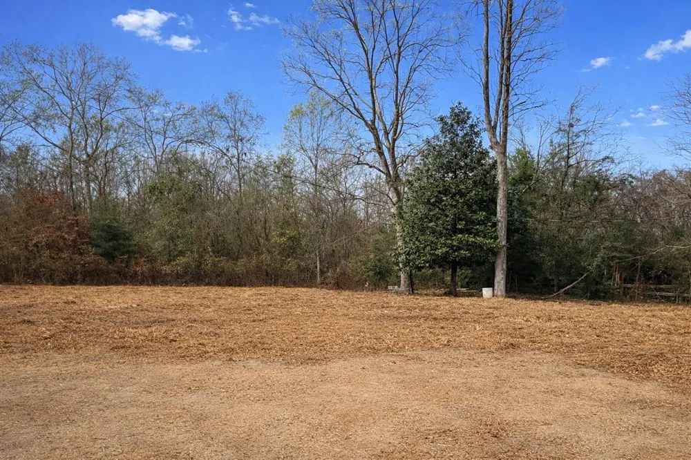 274 County Road 3945 Colmesneil, TX 75938