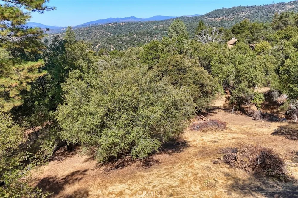 10 Timberwood Lane Oakhurst, CA 93644