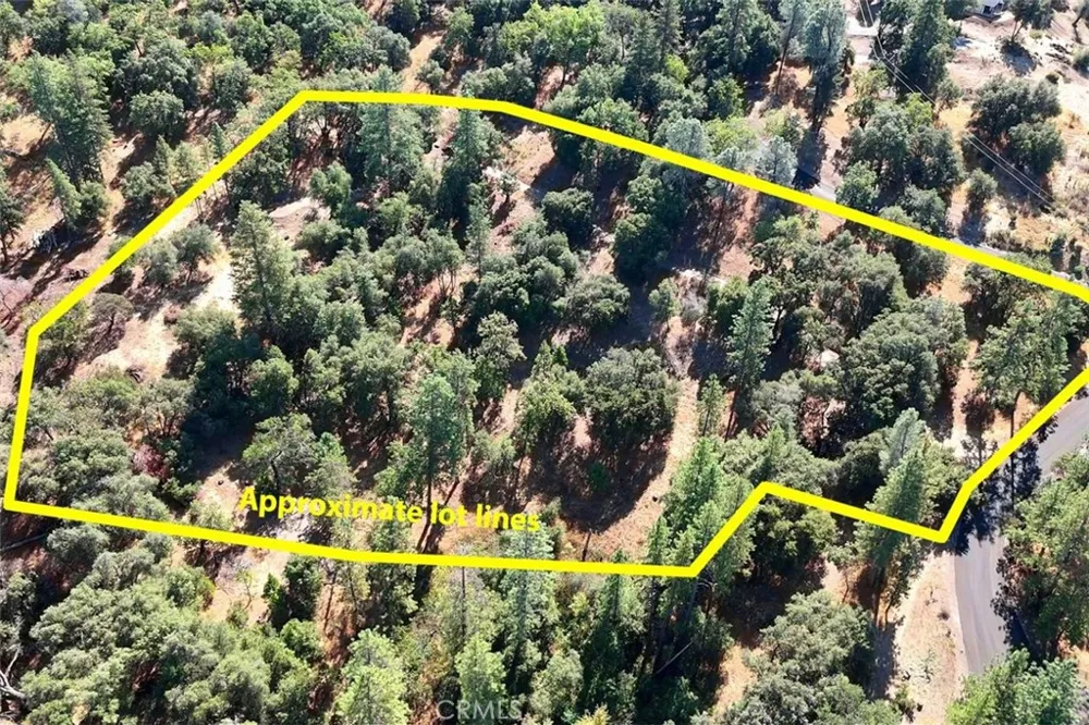 10 Timberwood Lane Oakhurst, CA 93644