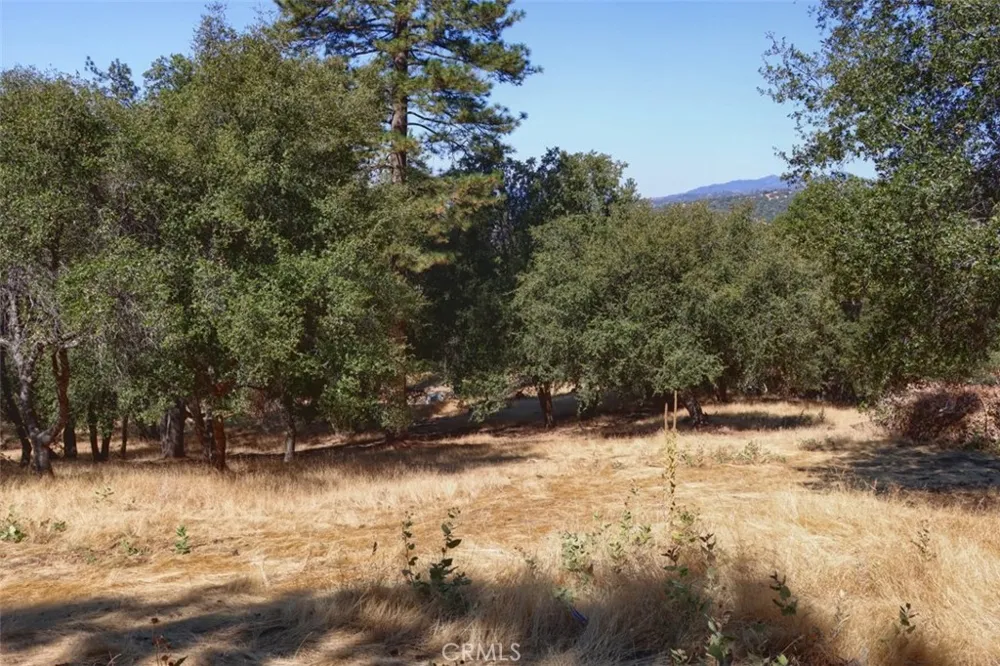 10 Timberwood Lane Oakhurst, CA 93644