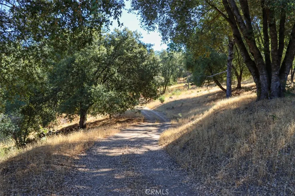 10 Timberwood Lane Oakhurst, CA 93644