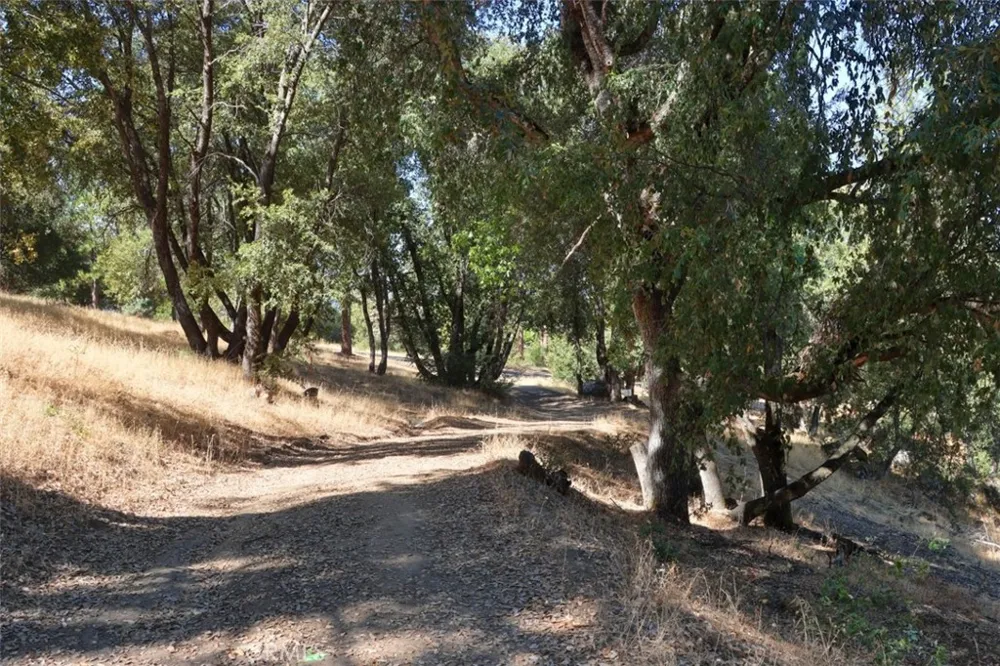 10 Timberwood Lane Oakhurst, CA 93644
