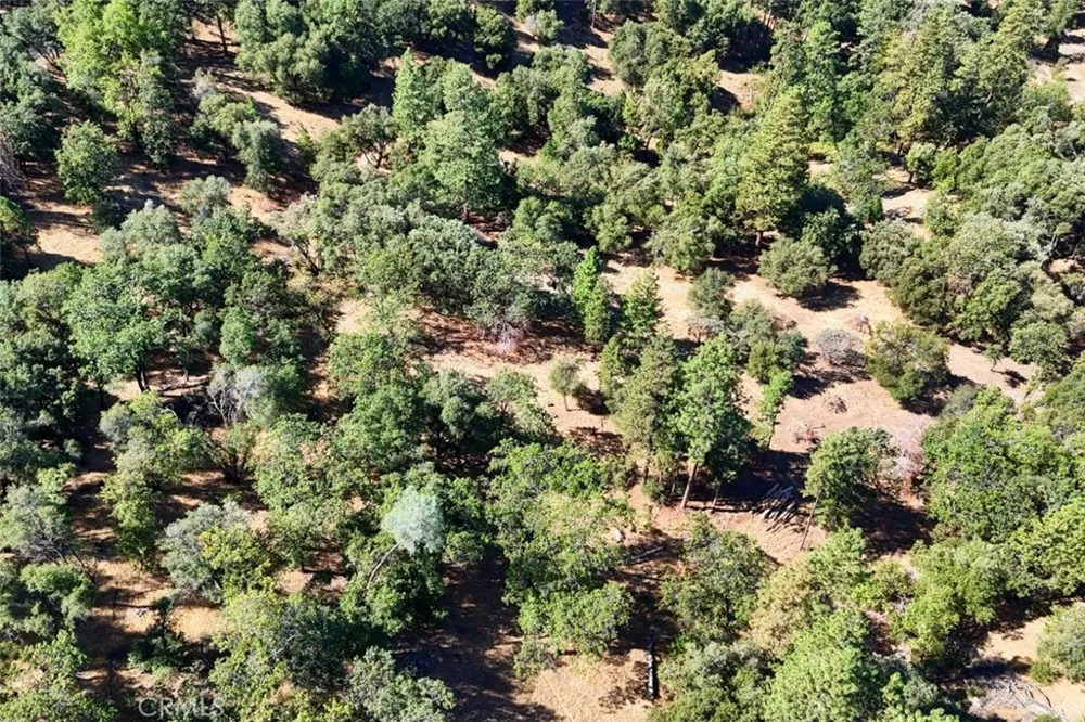 10 Timberwood Lane Oakhurst, CA 93644