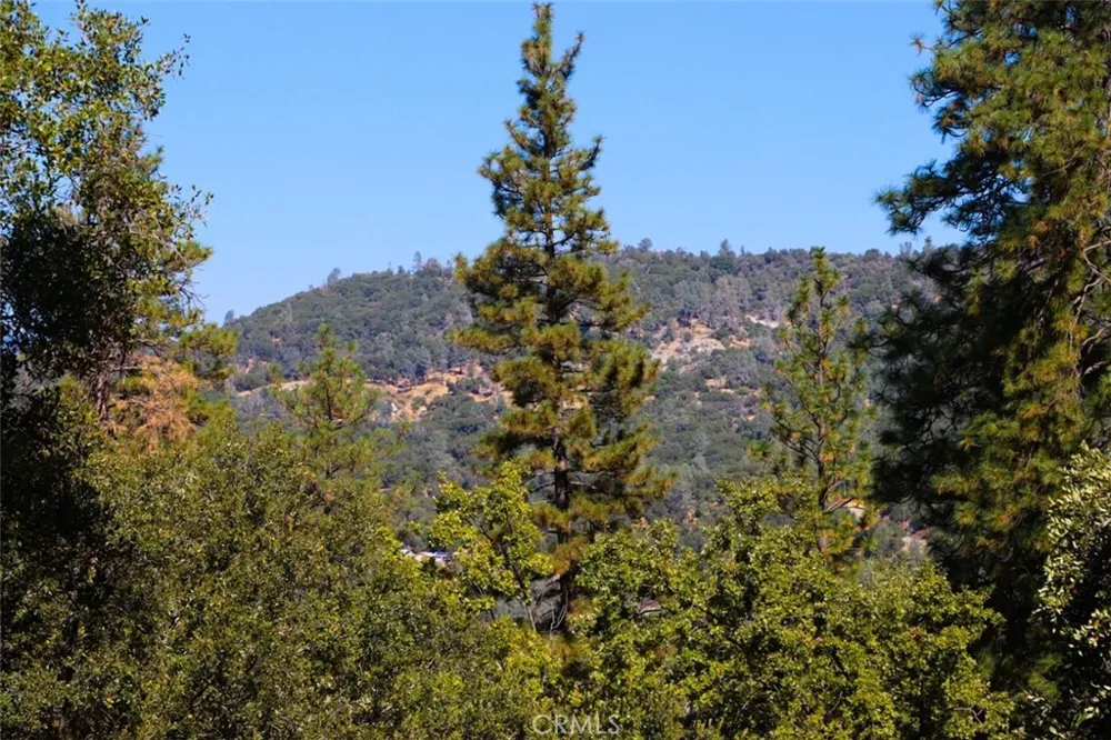 10 Timberwood Lane Oakhurst, CA 93644
