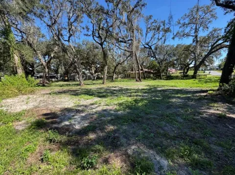 34779 HIBISCUS DRIVE