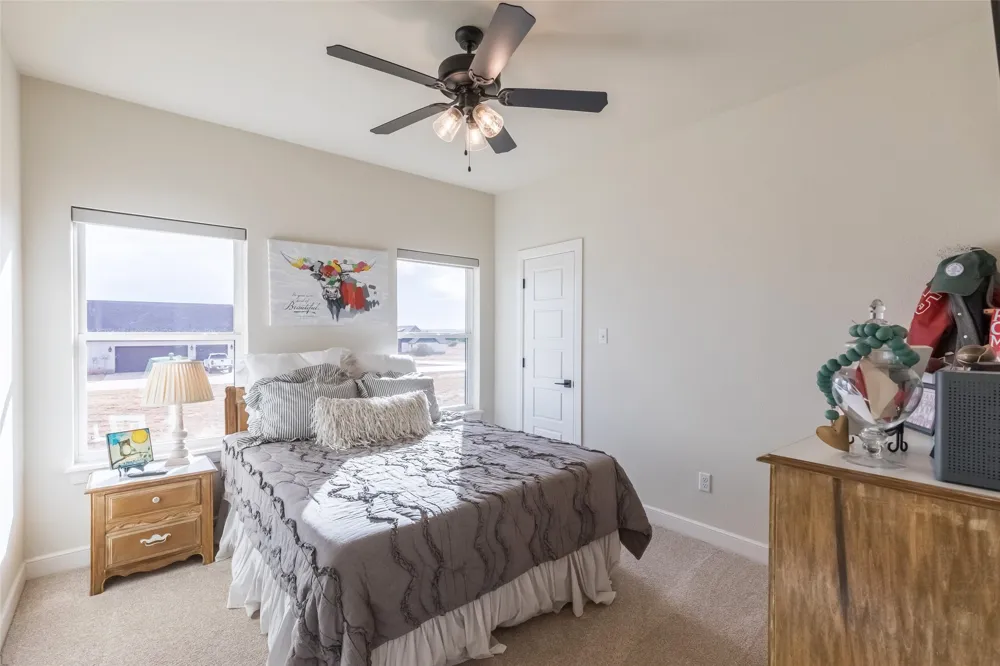 169 Pine Springs Cove Tuscola, TX 79562