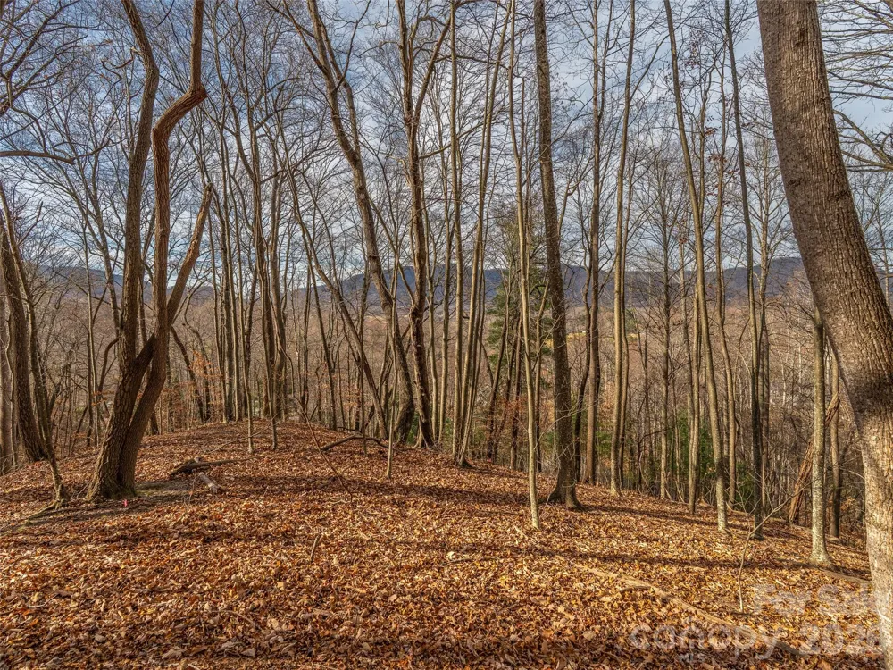 75 S Lindon Cove Road Candler, NC 28715