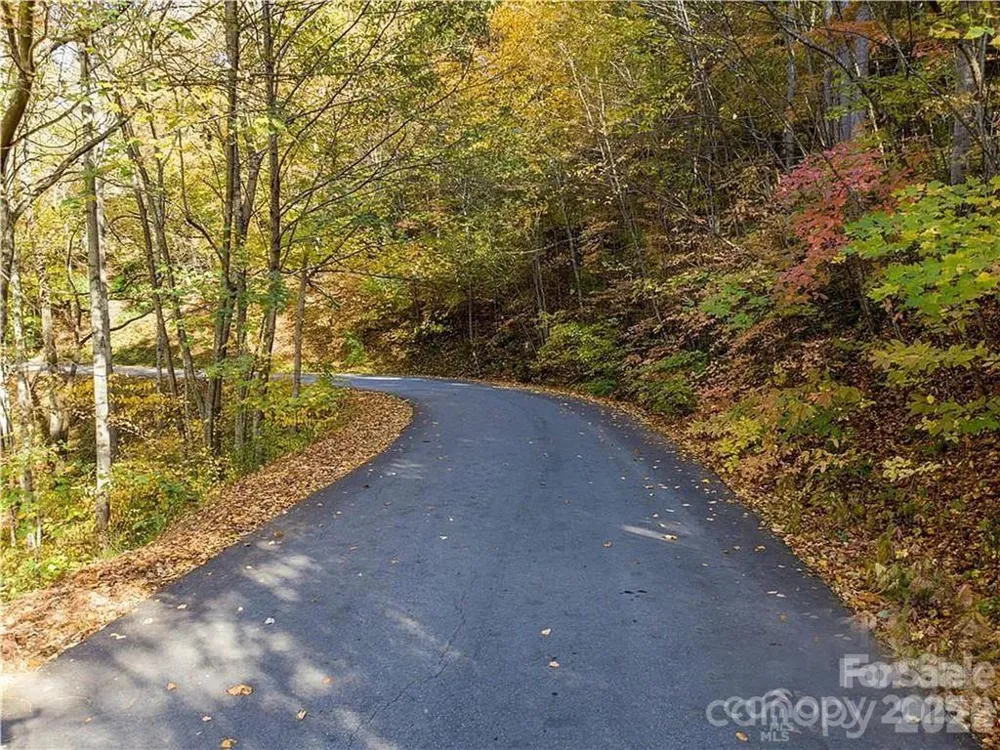 75 S Lindon Cove Road Candler, NC 28715
