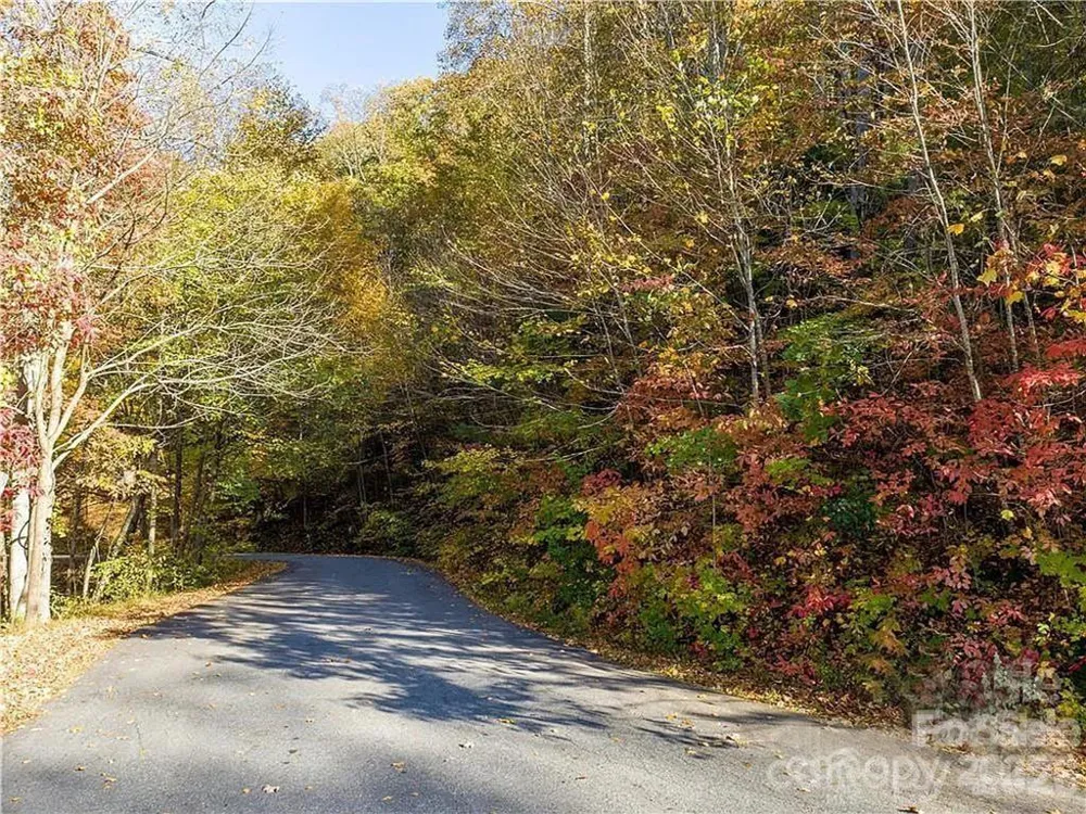 75 S Lindon Cove Road Candler, NC 28715