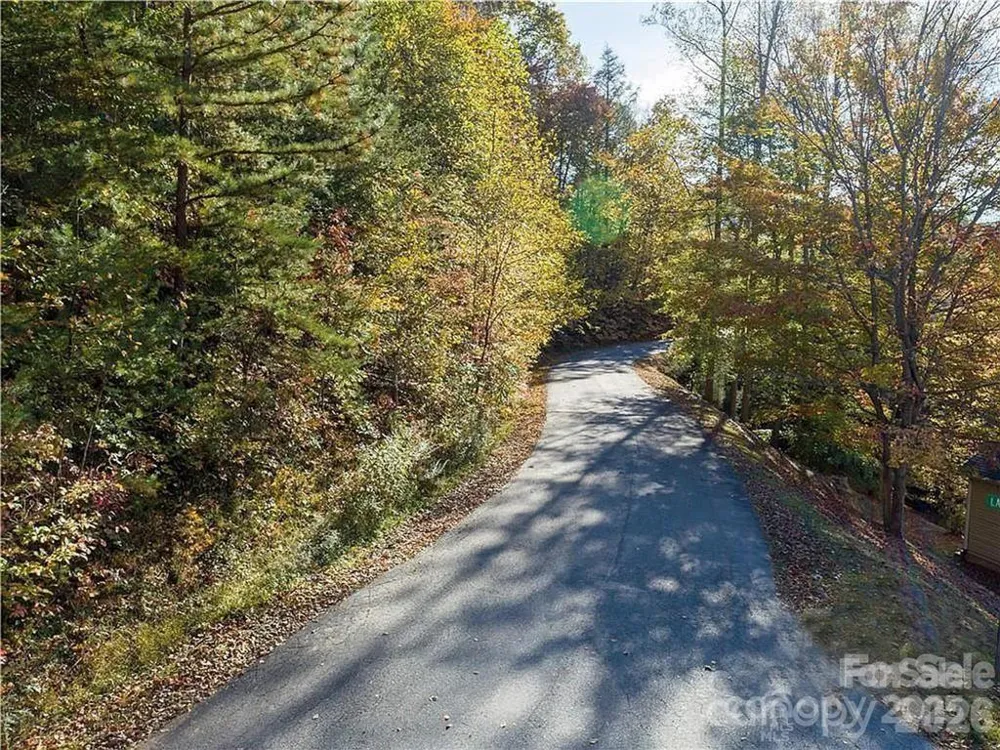 75 S Lindon Cove Road Candler, NC 28715