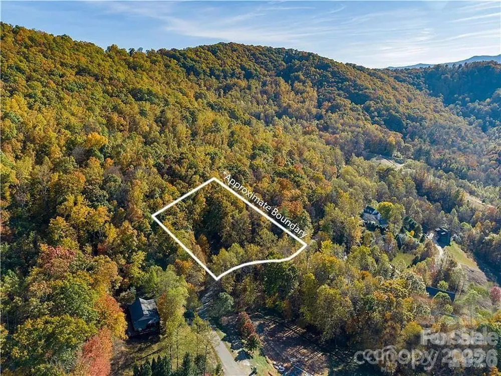 75 S Lindon Cove Road Candler, NC 28715