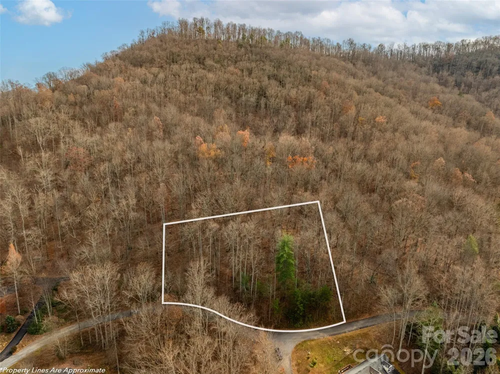 75 S Lindon Cove Road Candler, NC 28715
