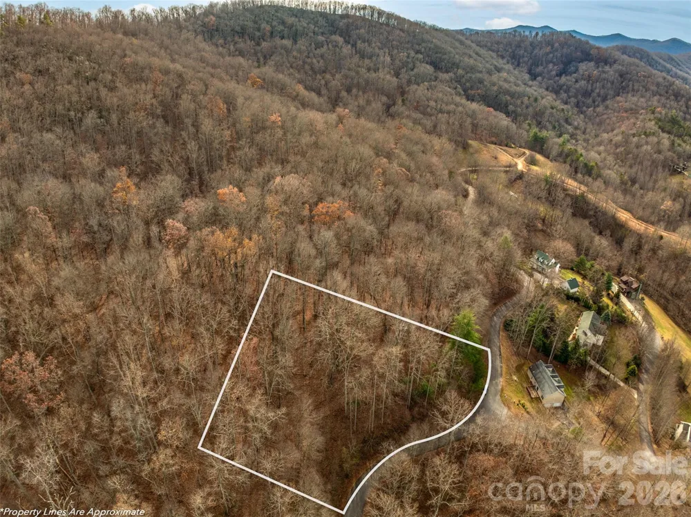 75 S Lindon Cove Road Candler, NC 28715