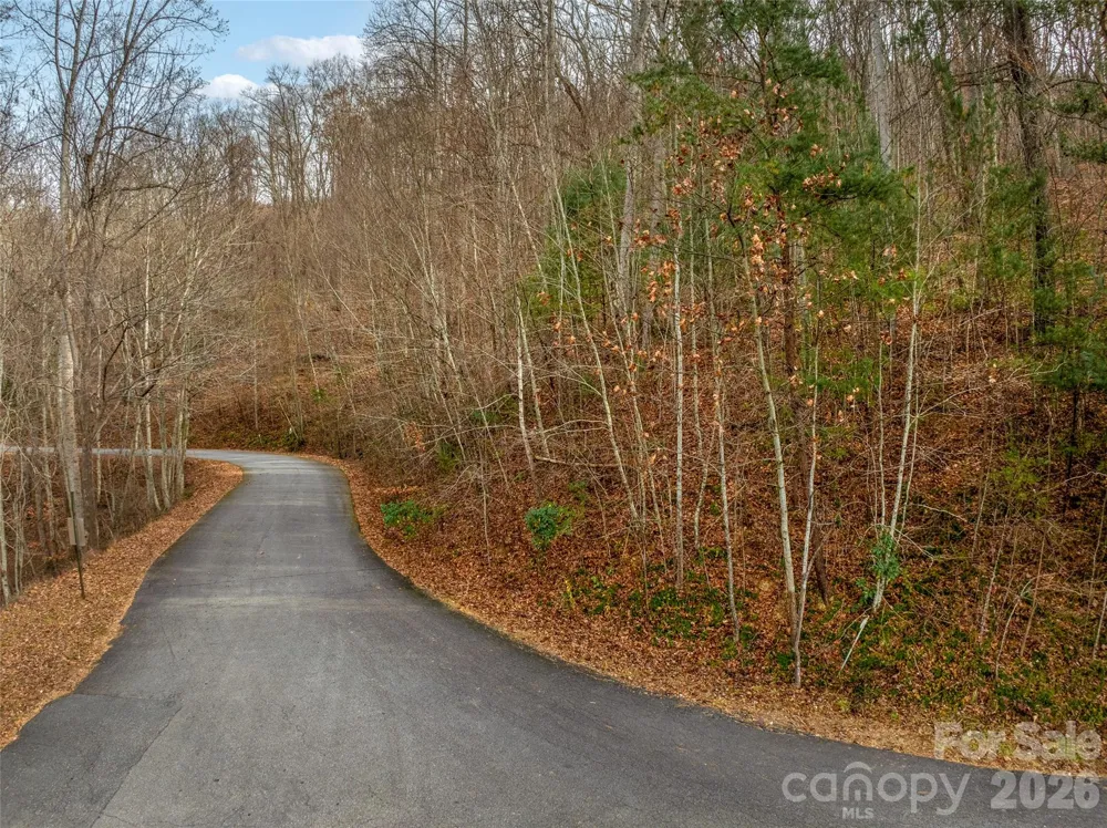 75 S Lindon Cove Road Candler, NC 28715