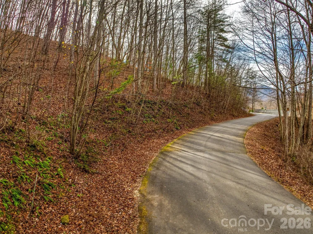 75 S Lindon Cove Road Candler, NC 28715