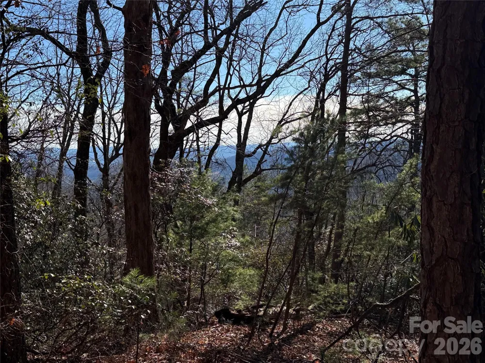TBD Bobcat Mountain Road #27 Purlear, NC 28665