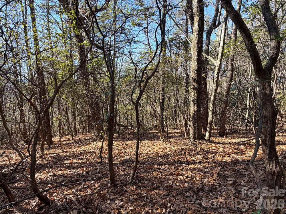 TBD Bobcat Mountain Road #27 Purlear, NC 28665