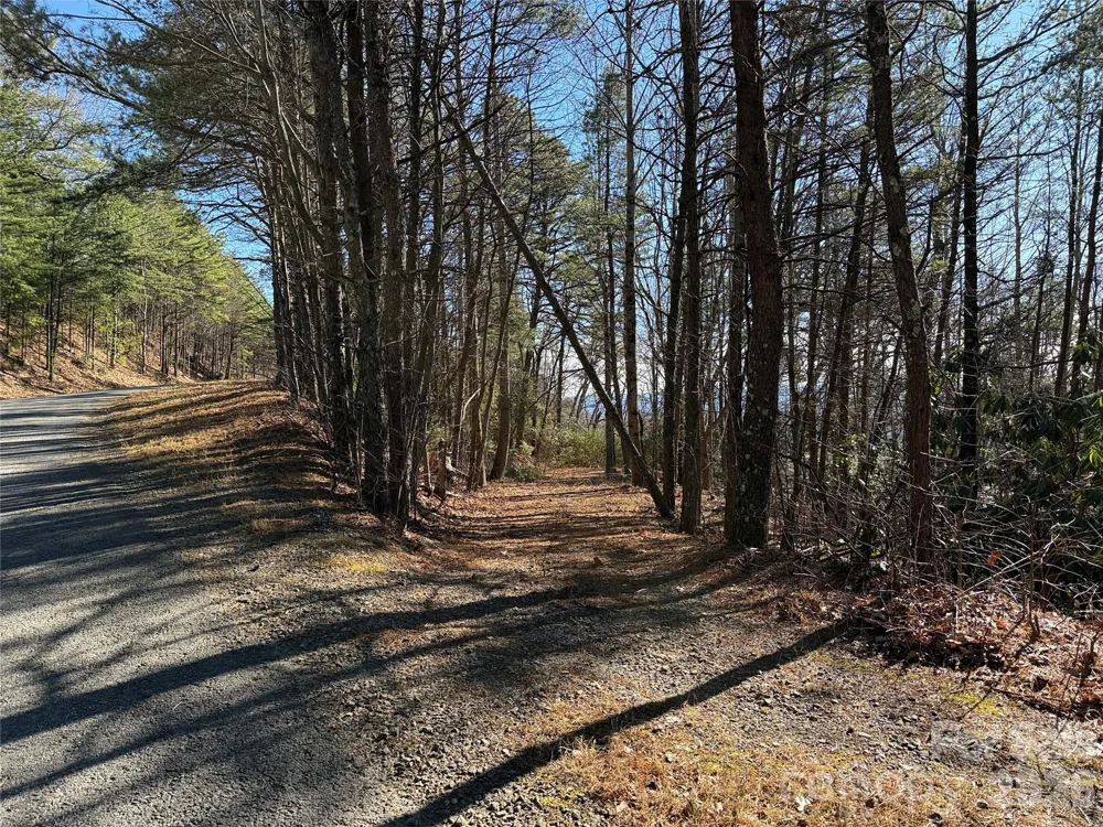 TBD Bobcat Mountain Road #27 Purlear, NC 28665