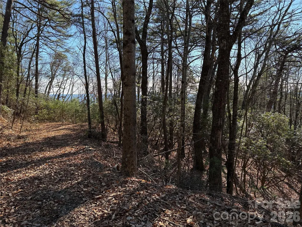 TBD Bobcat Mountain Road #27 Purlear, NC 28665
