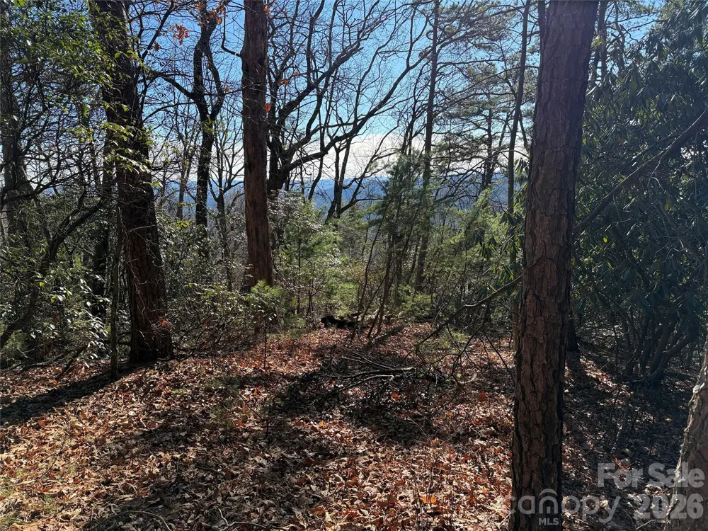 TBD Bobcat Mountain Road #27 Purlear, NC 28665