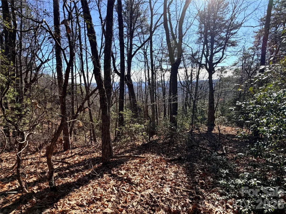TBD Bobcat Mountain Road #27 Purlear, NC 28665