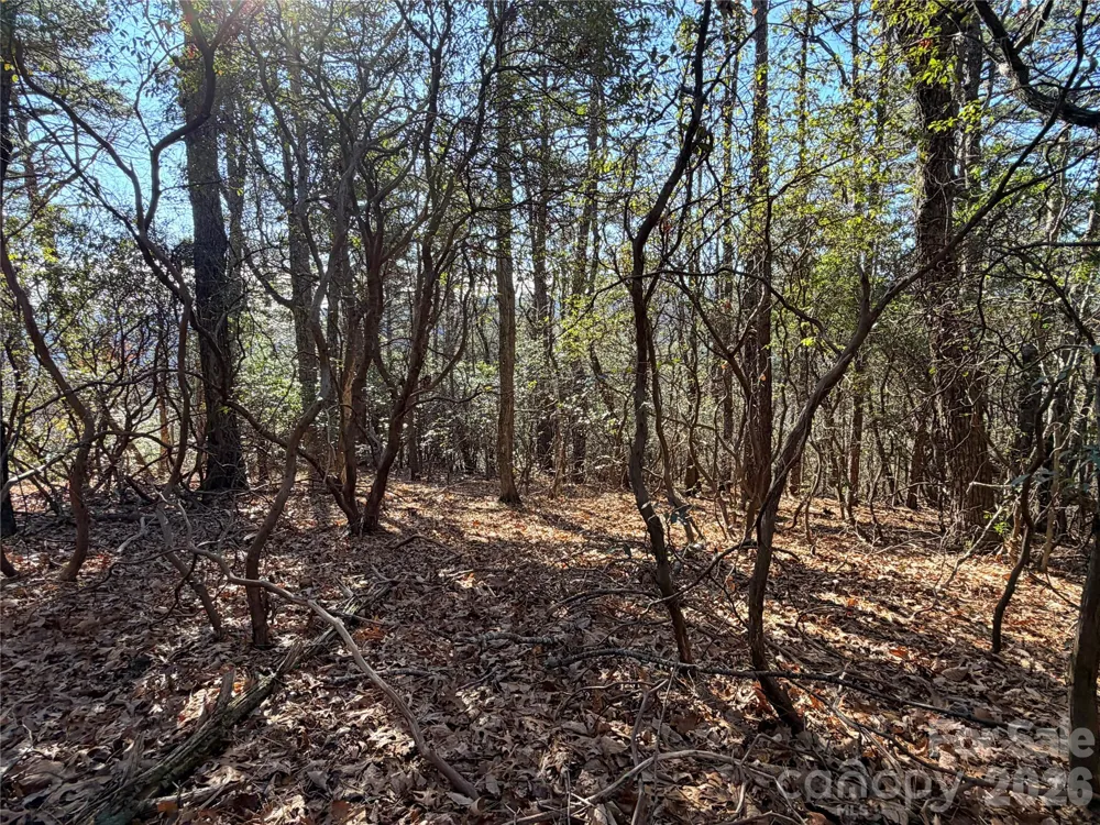 TBD Bobcat Mountain Road #27 Purlear, NC 28665