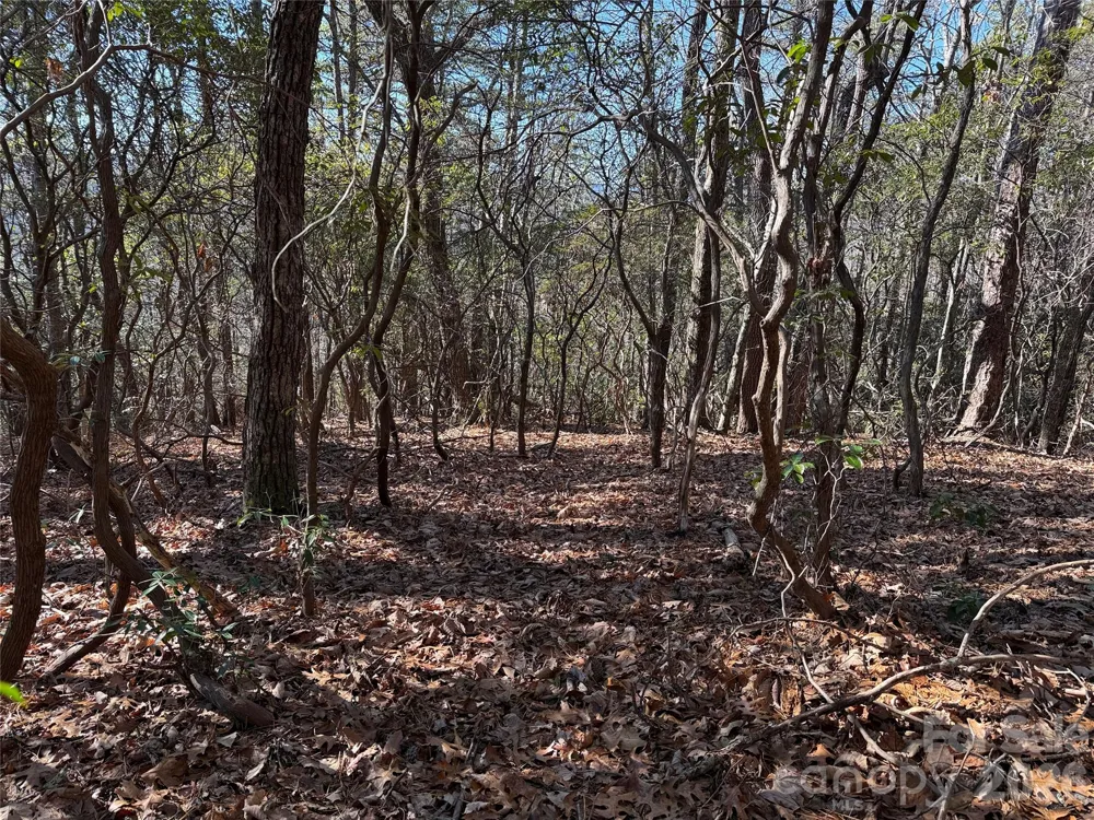 TBD Bobcat Mountain Road #27 Purlear, NC 28665