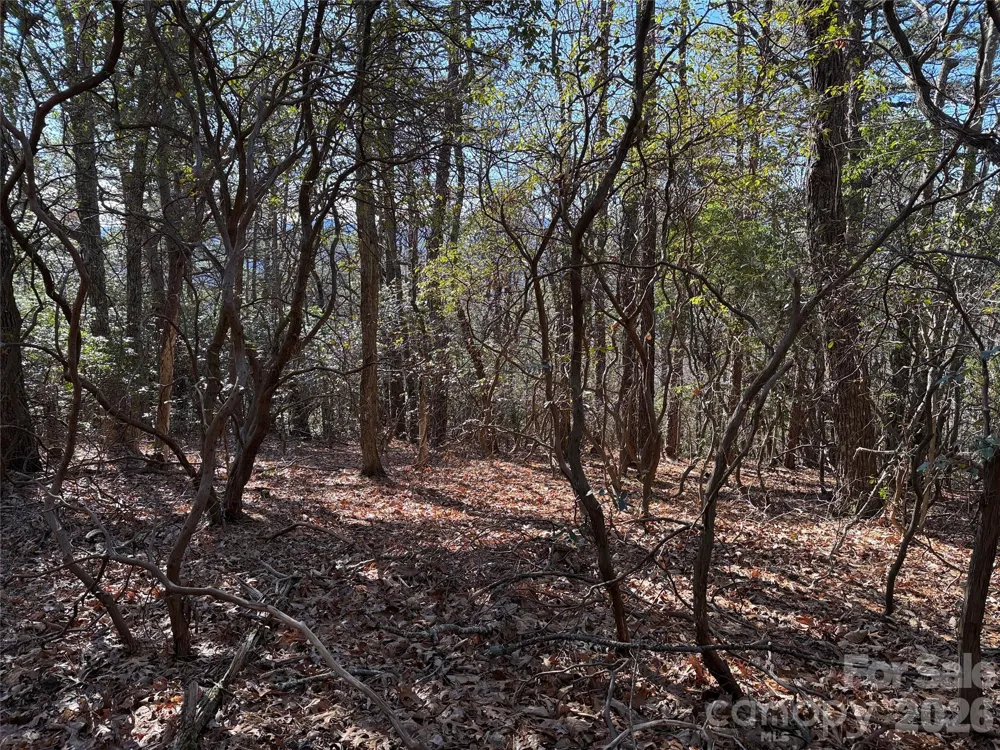 TBD Bobcat Mountain Road #27 Purlear, NC 28665