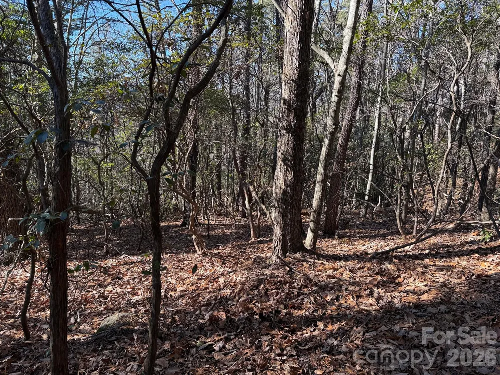 TBD Bobcat Mountain Road #27 Purlear, NC 28665
