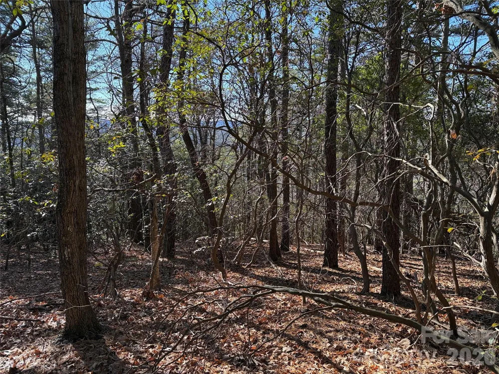 TBD Bobcat Mountain Road #27 Purlear, NC 28665