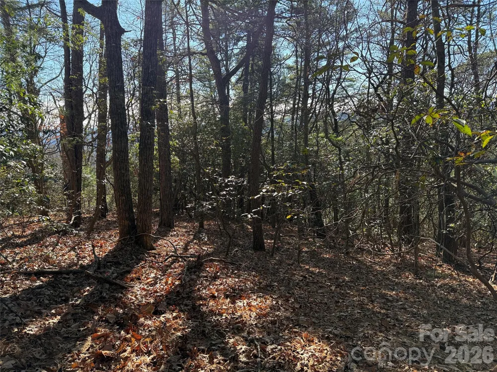 TBD Bobcat Mountain Road #27 Purlear, NC 28665
