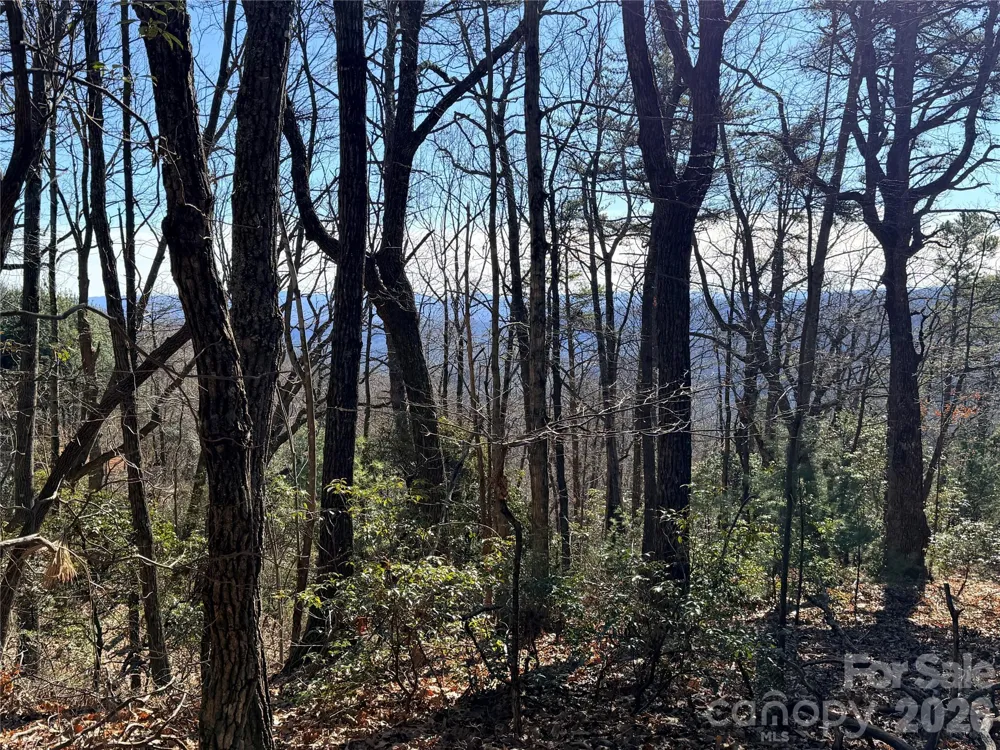 TBD Bobcat Mountain Road #27 Purlear, NC 28665
