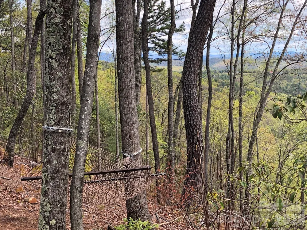 TBD Bobcat Mountain Road #27 Purlear, NC 28665