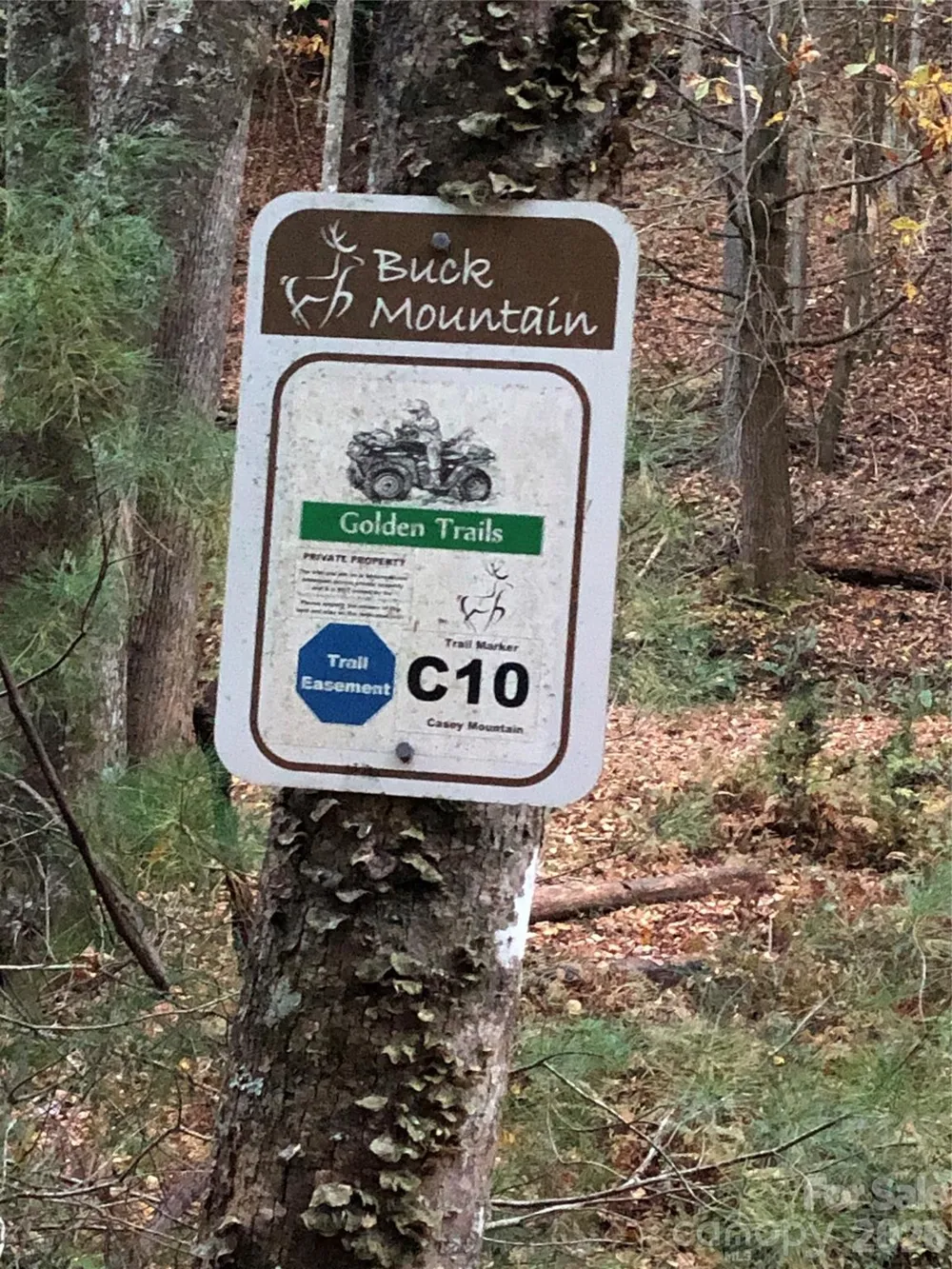 TBD Bobcat Mountain Road #27 Purlear, NC 28665