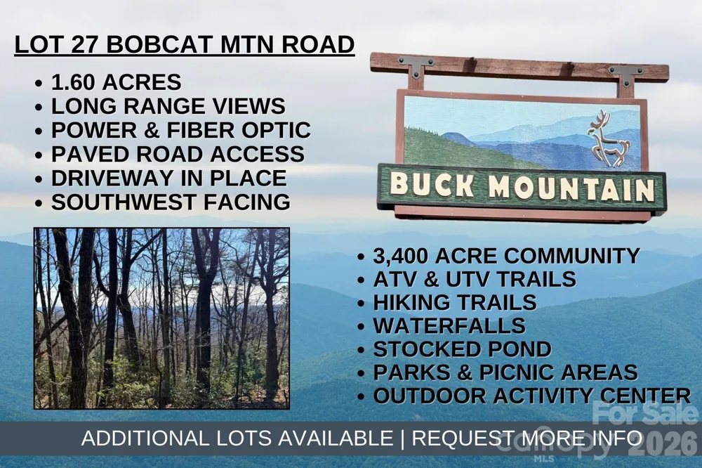 TBD Bobcat Mountain Road #27 Purlear, NC 28665