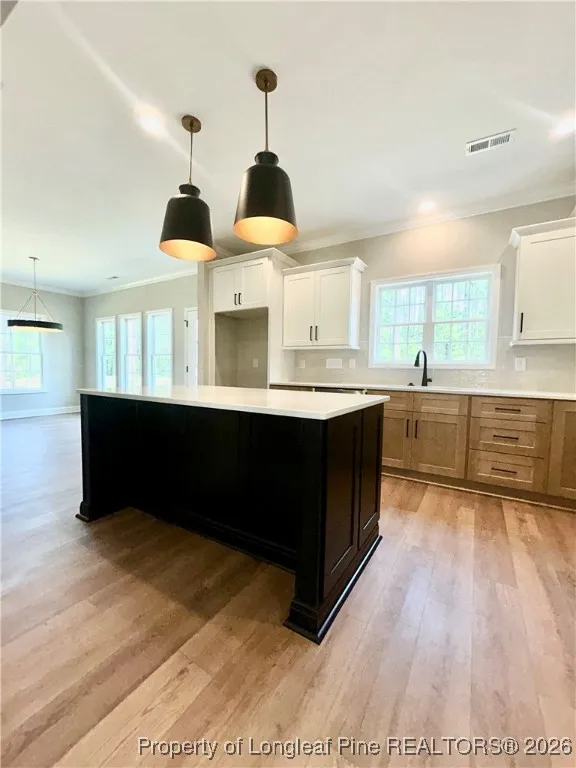 28880 Deercroft Drive Wagram, NC 28396