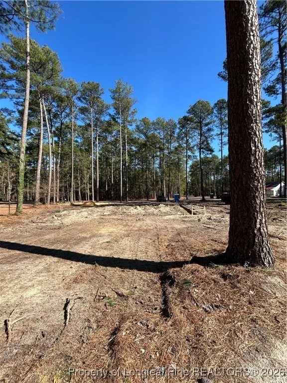 28880 Deercroft Drive Wagram, NC 28396