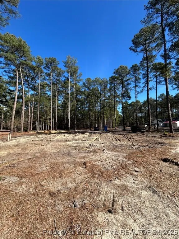 28880 Deercroft Drive Wagram, NC 28396
