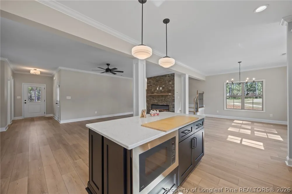 28880 Deercroft Drive Wagram, NC 28396