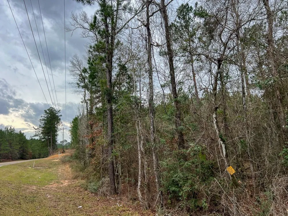 3 County Road 1019 Newton, TX 75966