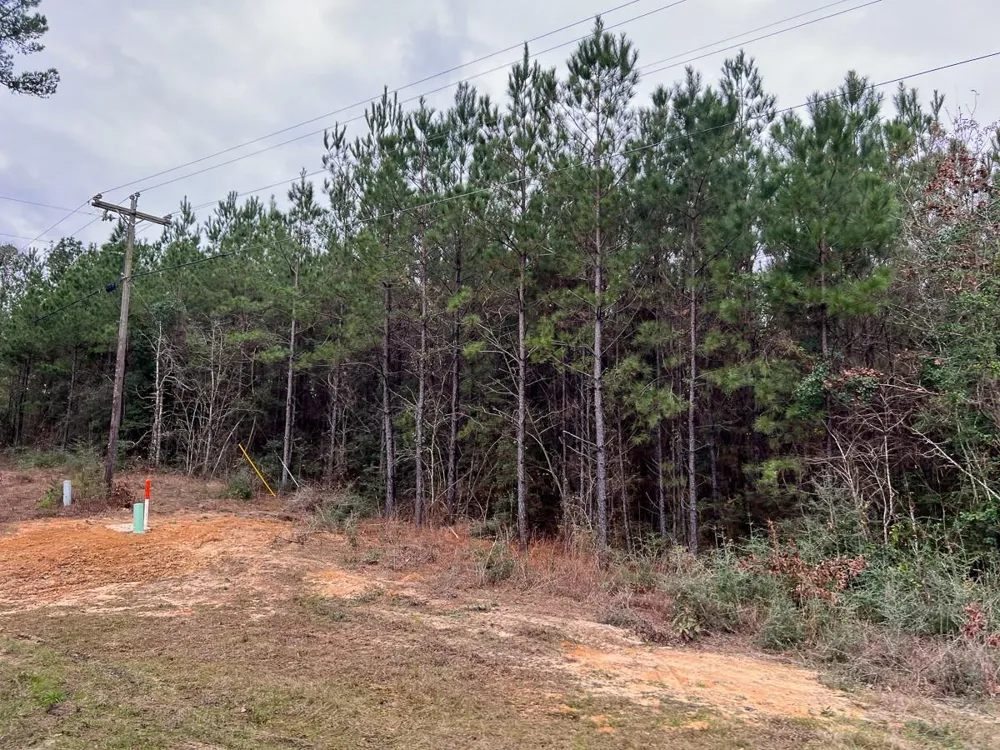3 County Road 1019 Newton, TX 75966