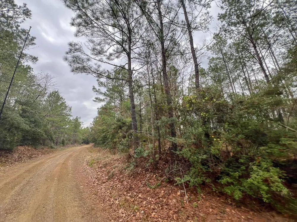 3 County Road 1019 Newton, TX 75966
