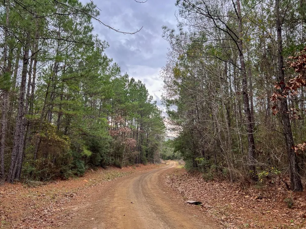 3 County Road 1019 Newton, TX 75966