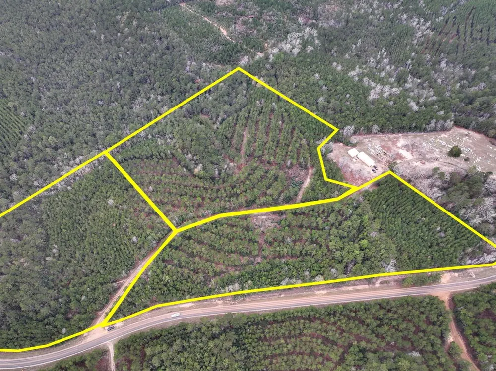 4 County Road 1019 Newton, TX 75966