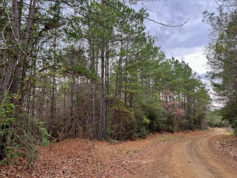 4 County Road 1019 Newton, TX 75966