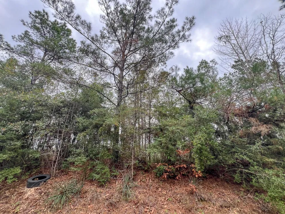 4 County Road 1019 Newton, TX 75966